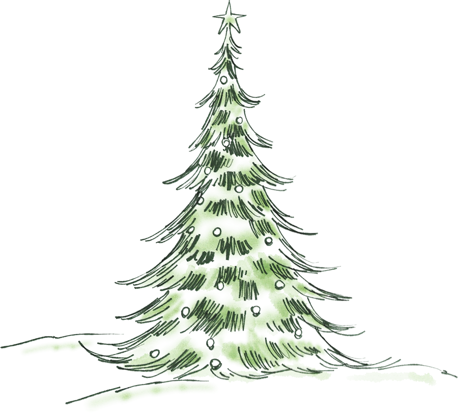 Árvore de Natal em aquarela verde, desenhada à mão